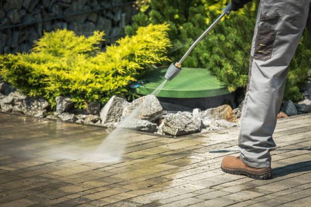 Best Sidewalk and Walkway Pressure Cleaning in Sinton, TX